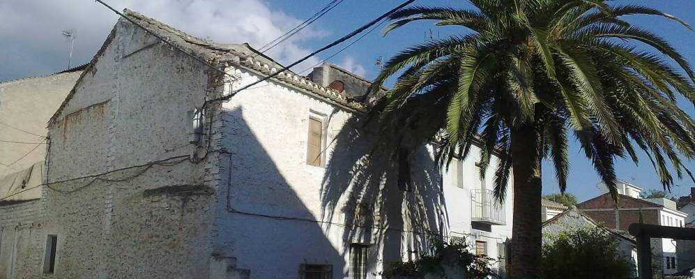 
            Фотография Дуркаль