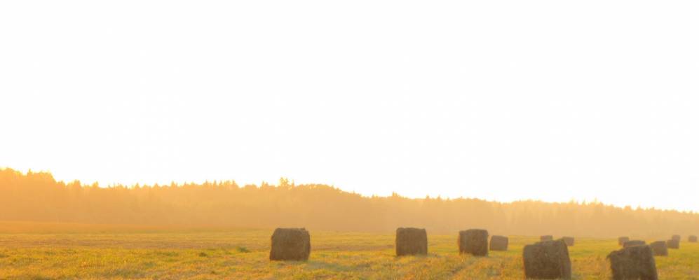 
            Фотография Троицыно