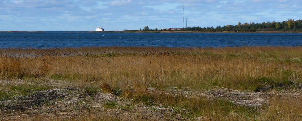 
            Фотография Мяэкюлы