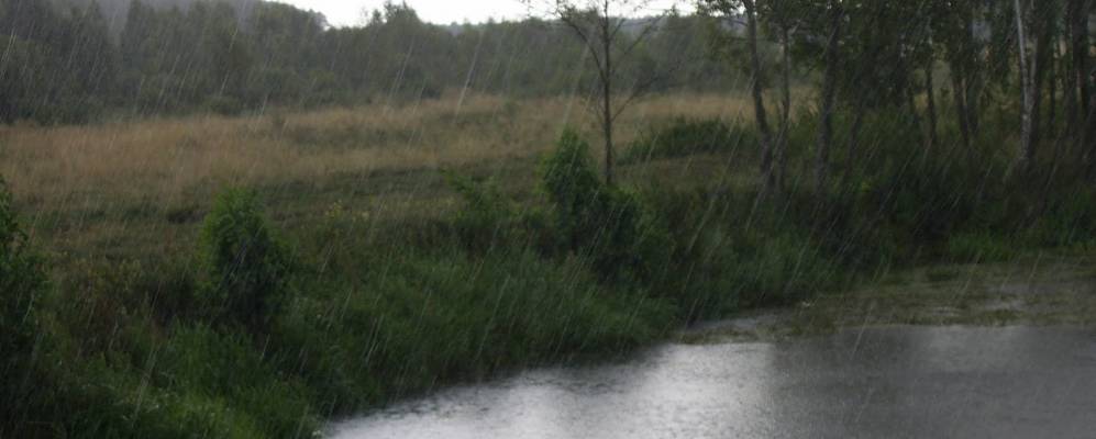 
            Фотография Самотуги