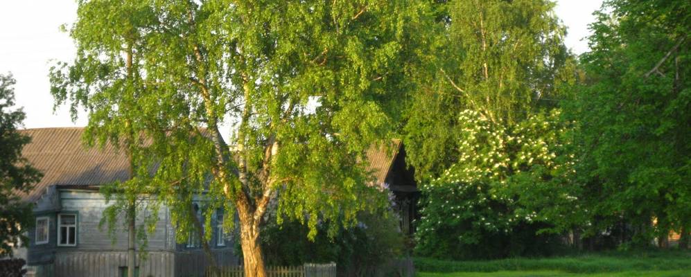 
            Фотография Фрольцево