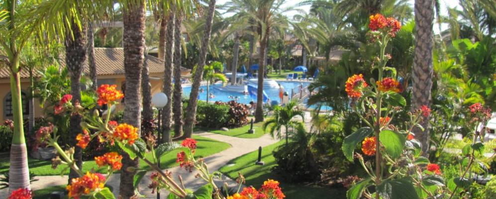 
            Фотография Мелонерас