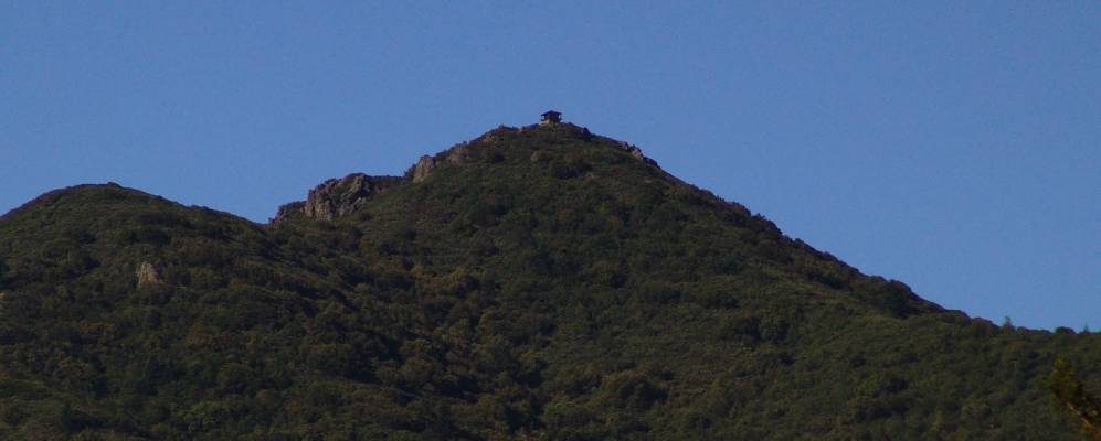 
            Фотография Кентфилда