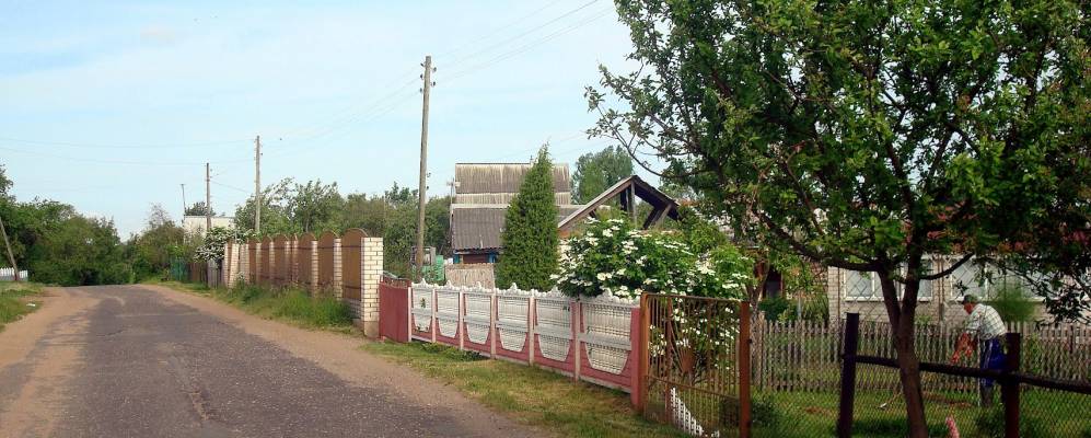 
            Фотография Струнья