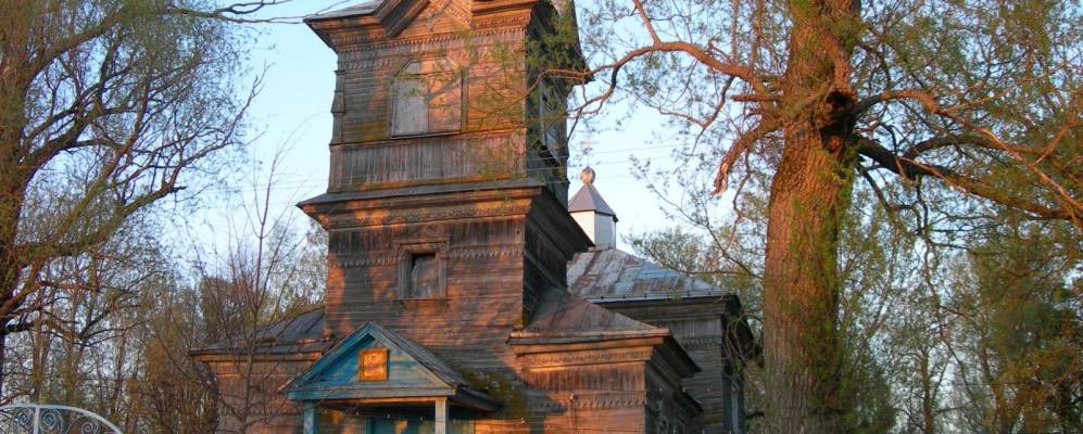 
            Фотография Полянки