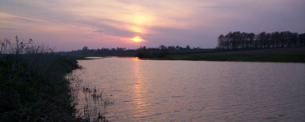 
            Фотография Ровок