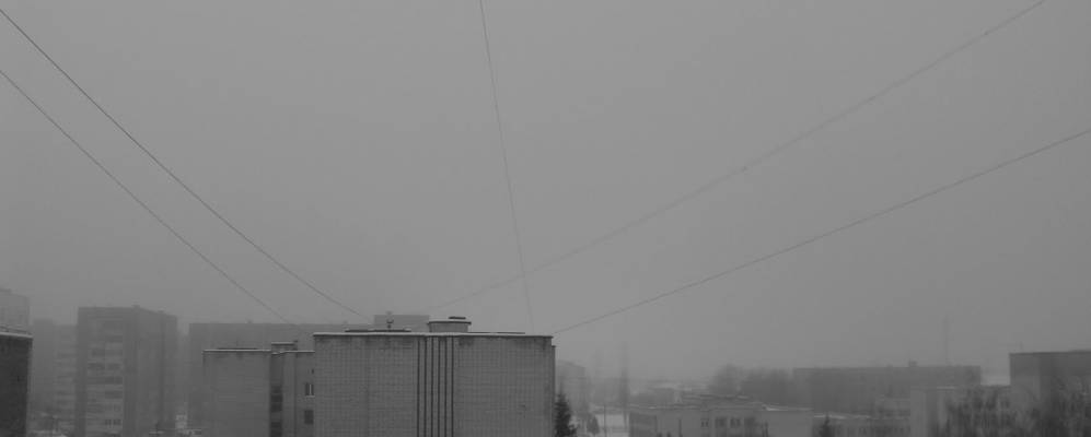 
            Фотография Добротвора