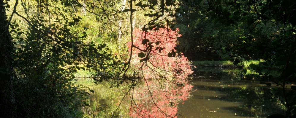 
            Фотография Канежана