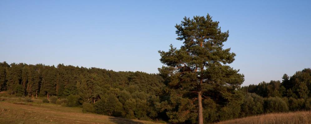 
            Фотография Крюково