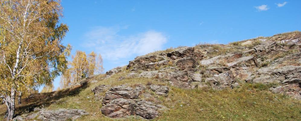 
            Фотография Ужевки