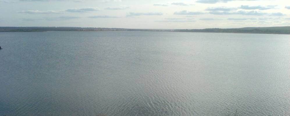 
            Фотография Полякова