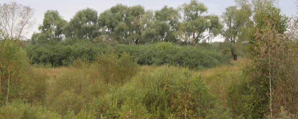 
            Фотография Покровки