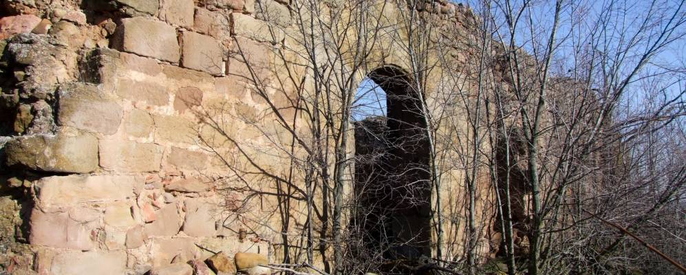 
            Фотография Сохуэла