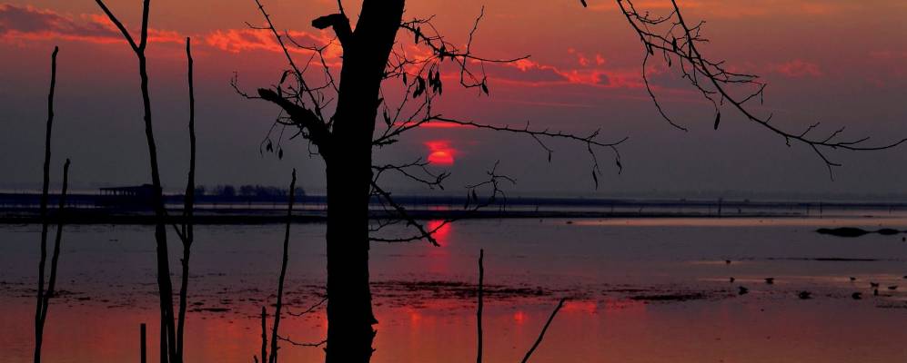 
            Фотография Розолина Маре