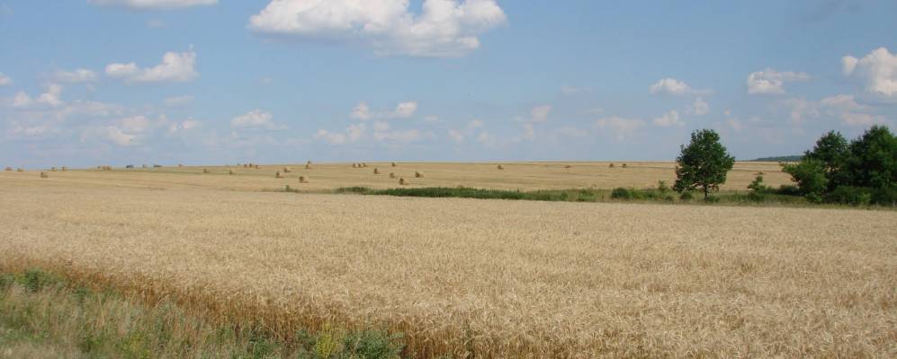 
            Фотография Лутовиново