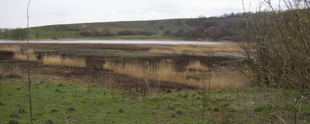 
            Фотография Лисичьей Балки