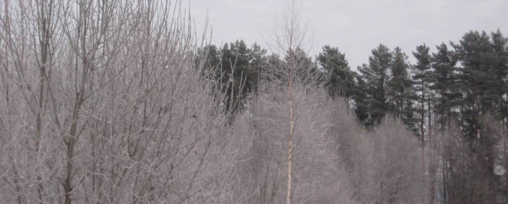 Фотография Якунино