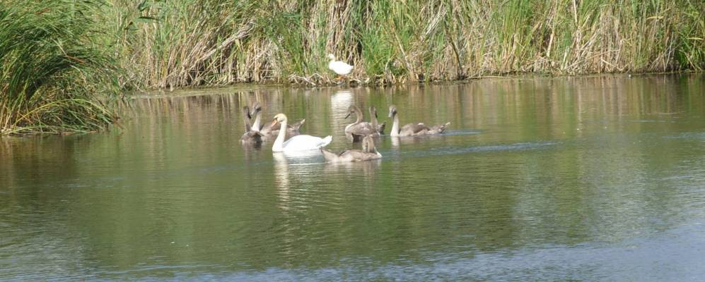 
            Фотография Демьянцы