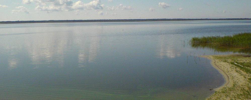 
            Фотография Липска