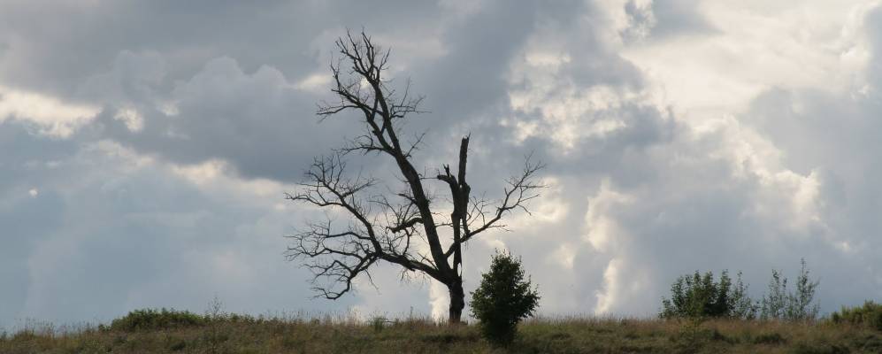 Фотография деревни Сосницы