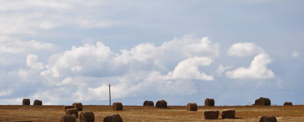 
            Фотография Больников