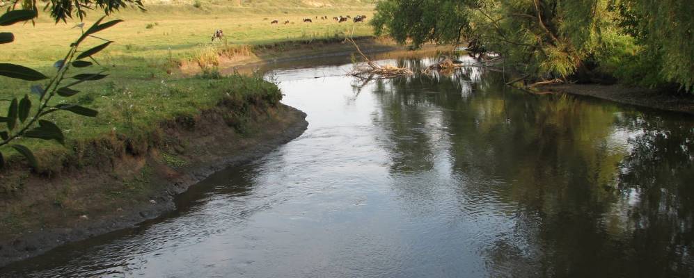 
            Фотография Фащевки