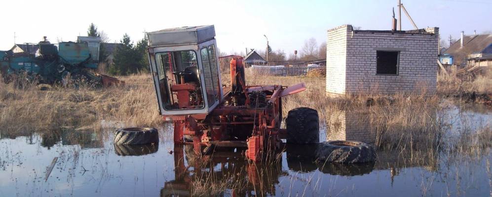 
            Фотография Тупы