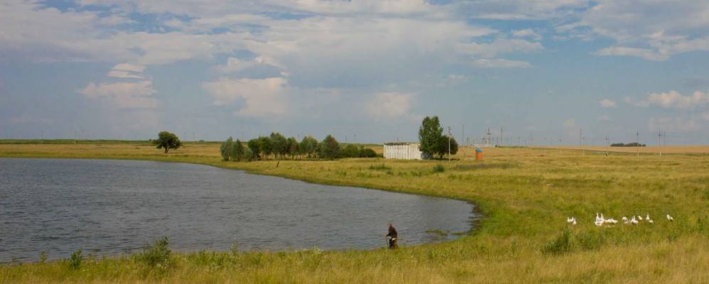 
            Фотография Отчаянныого