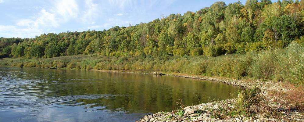 
            Фотография Тимофеевки