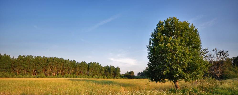 
            Фотография Вербилово