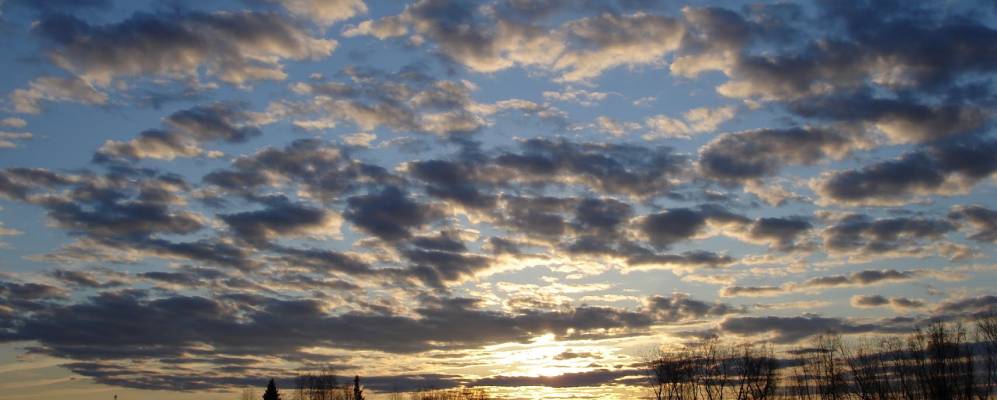 
            Фотография Усицы