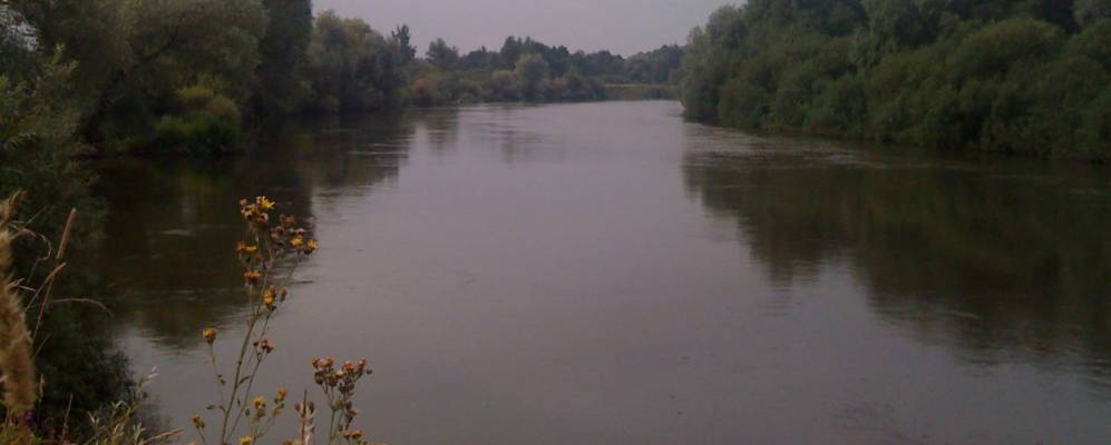 Фотография Казачего