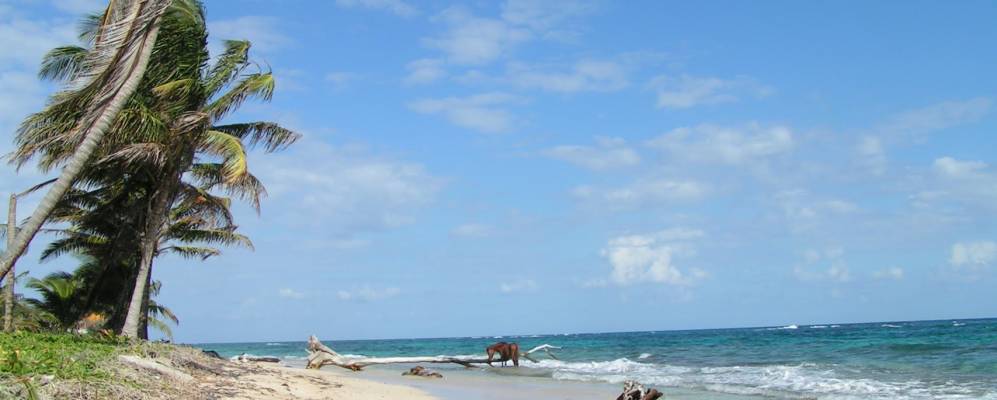 
            Фотография Корн Исланда