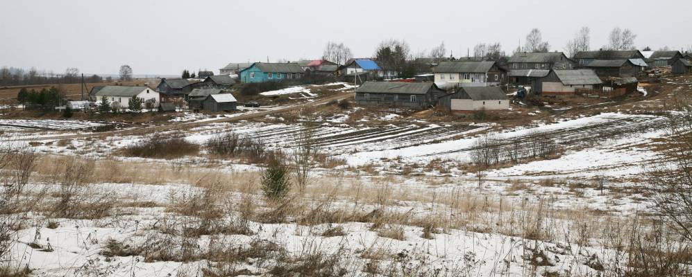 
            Фотография Жабино