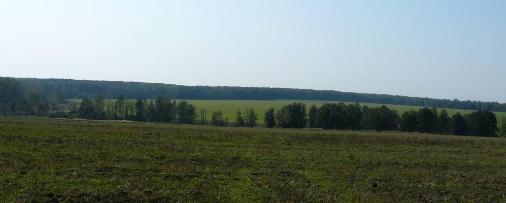 
            Фотография Бобровки