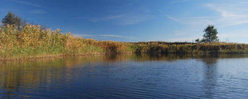 Фотография Богатого