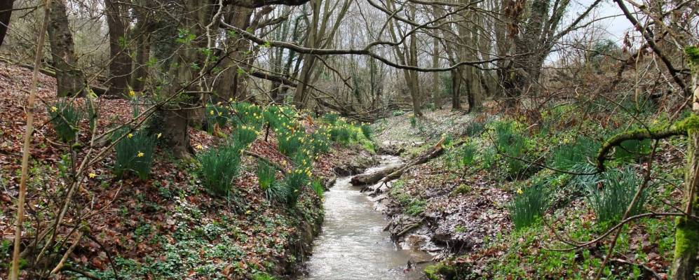 Фотография Майлфорда