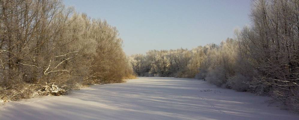 украина село кетрисановка. крахмало-паточный завод. крахмальные зерна в клетках гороха. крахмало-паточный комбинат ярославль заброшенный. село крахмальное.