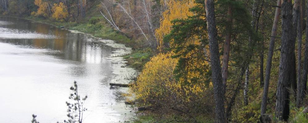 
            Фотография Гилёво