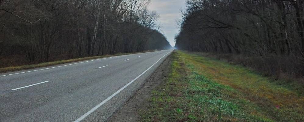 
            Фотография Лесного