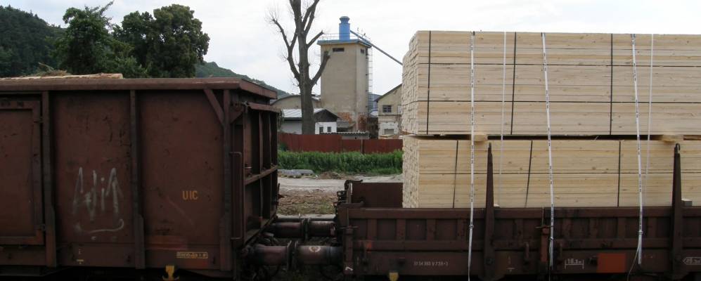 
            Фотография Тетчицы