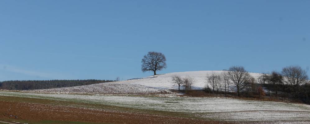 
            Фотография Бренсбаха