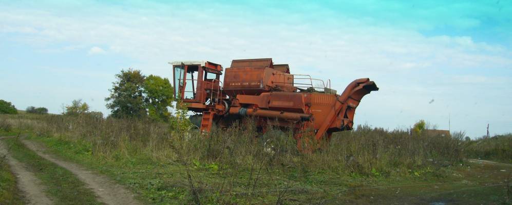 
            Фотография Дивилок