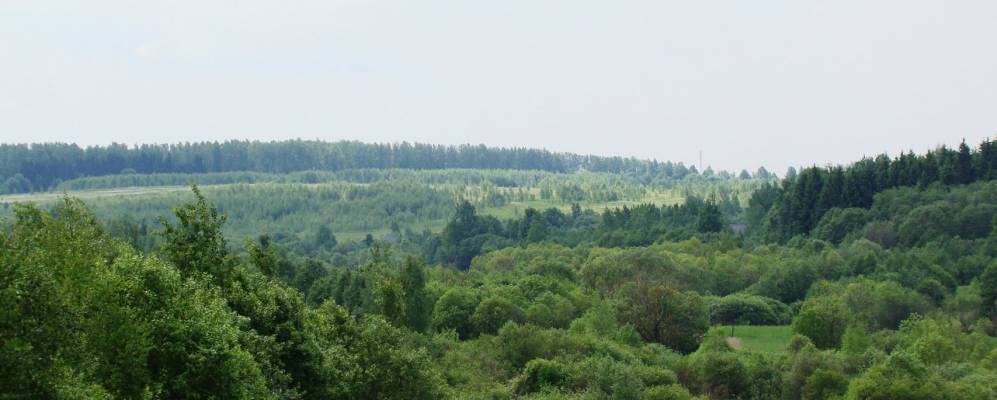 Фотография Покорного