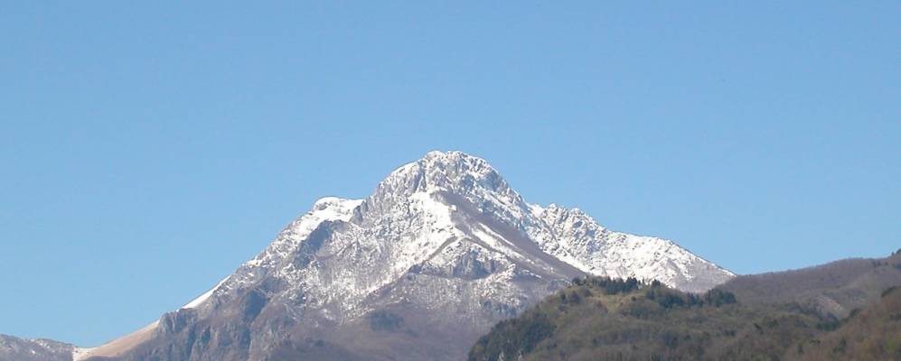 
            Фотография Галликано