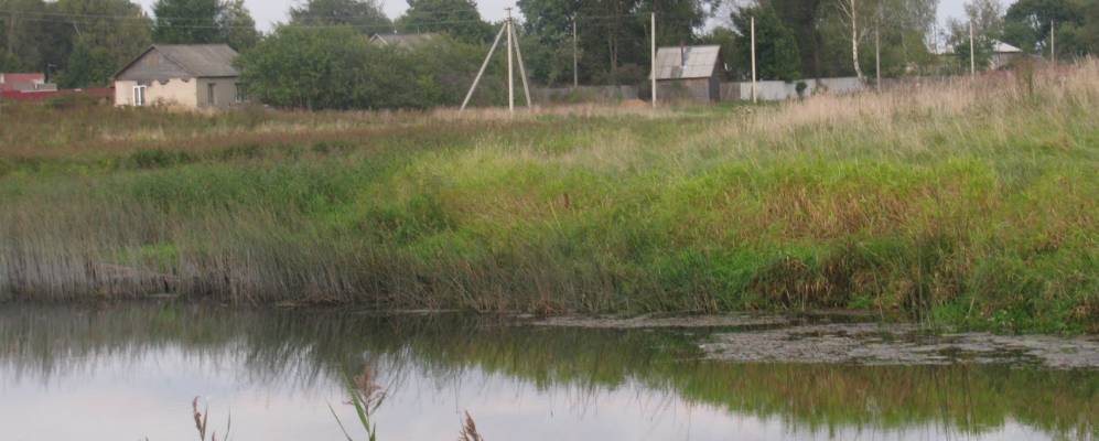 
            Фотография Тесово