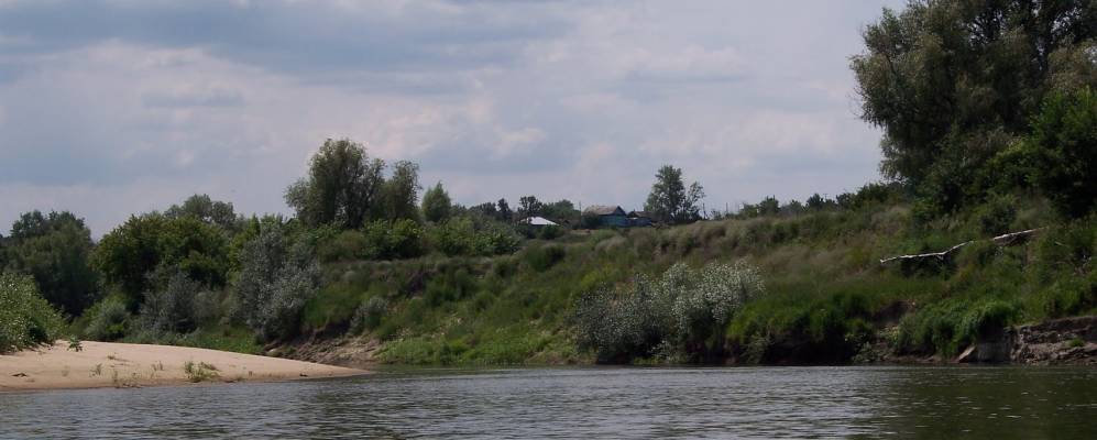 
            Фотография Ушинки