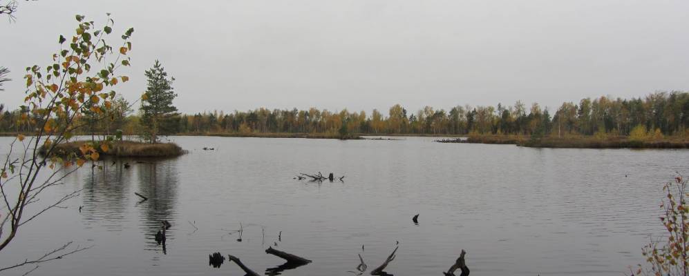 Фотография Демино (Деминской)