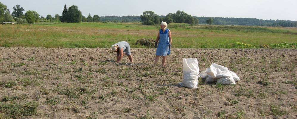 
            Фотография Станиславчика