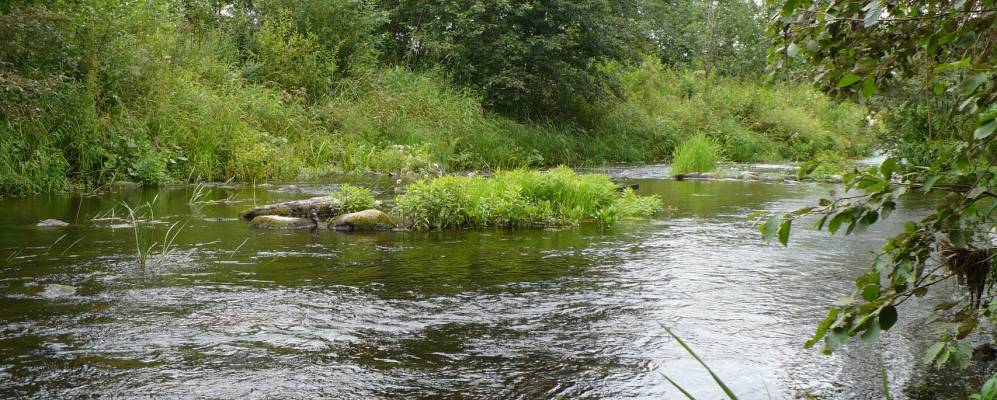 Фотография Юртинского